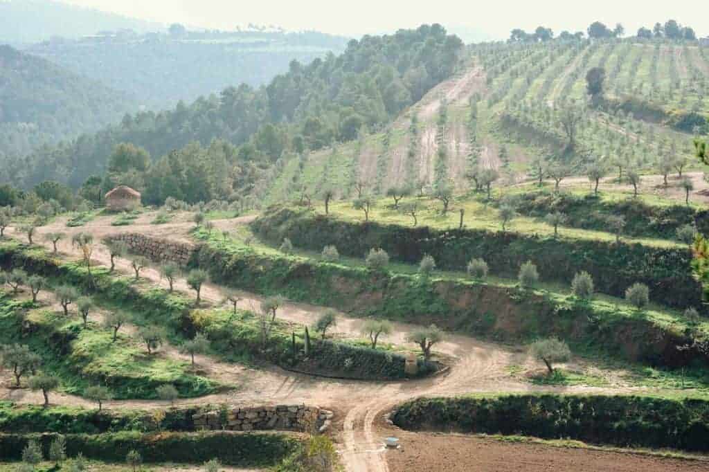 wine regions of catalonia