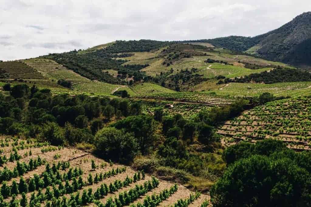 best places to see in catalonia — food and wine