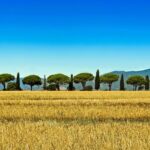 Tuscany - Pixabay