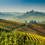 Piedmont 