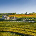Kabola Winery Istria