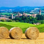modena