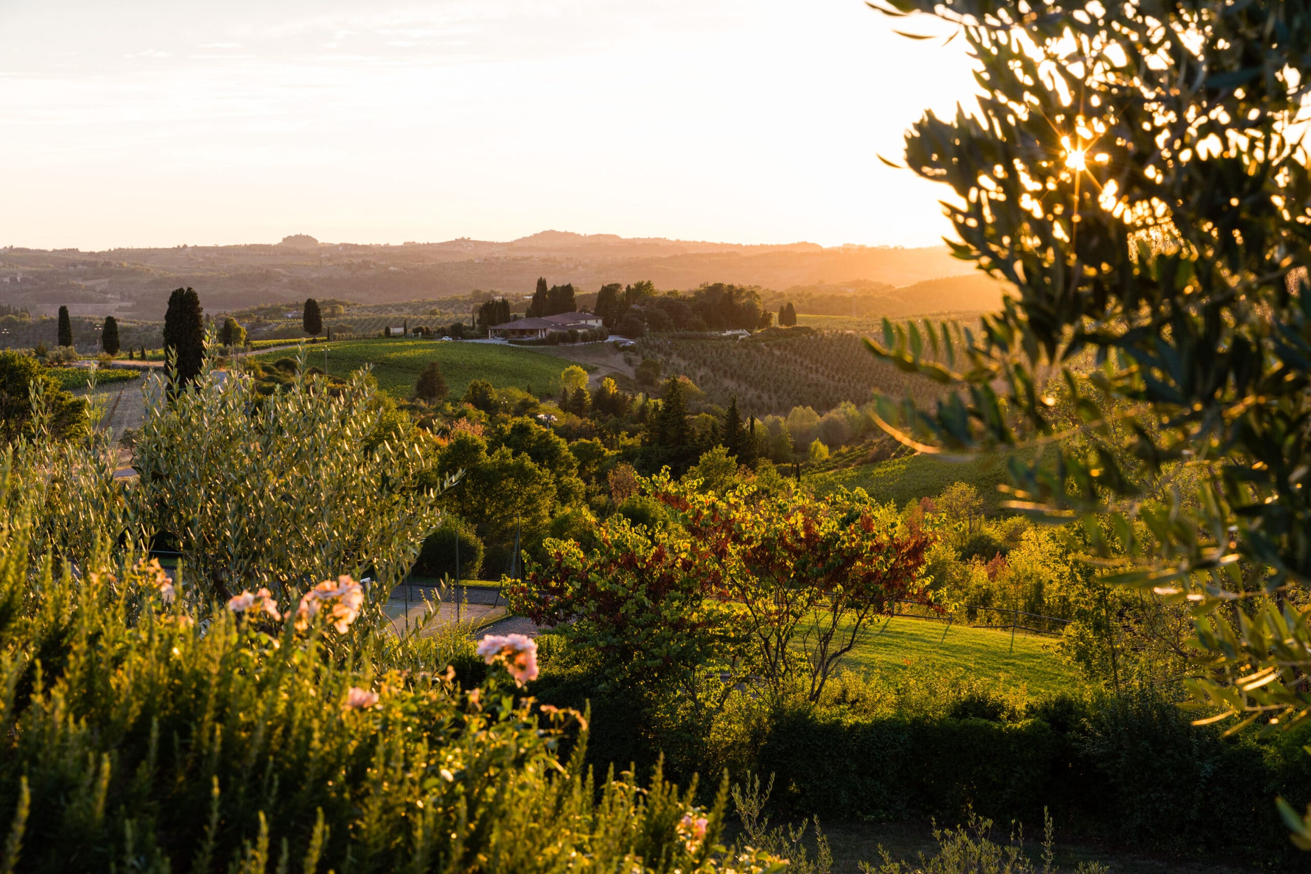 162 familyphotographersinFlorence 4965 scaled