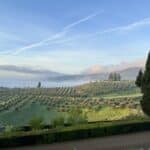Torre a Cona Wine Estate