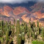 Salta