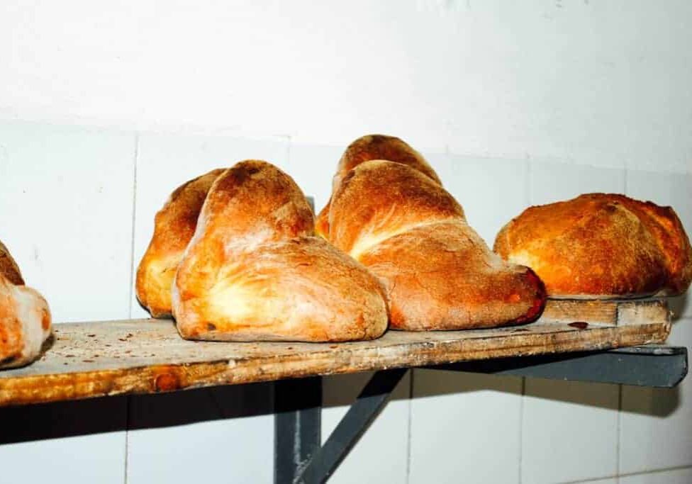 Traditional bread of Altamura, Italy. Photo: Francesco Paolo Fumarola CC BY-SA 2.0, via Wikimedia Commons